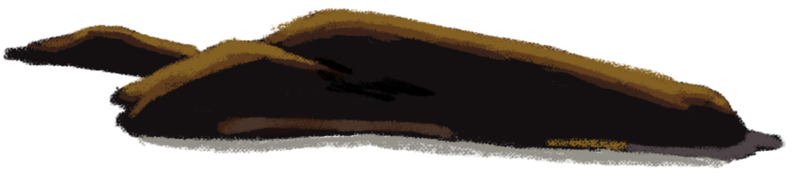 Feature Image