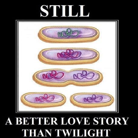 A meme featured on IFLS. (facebook.com/IFeakingLoveScience)