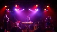 Alexandra Allaire / McGill Tribune