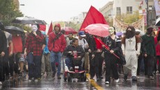 (Luke Orlando / McGill Tribune)