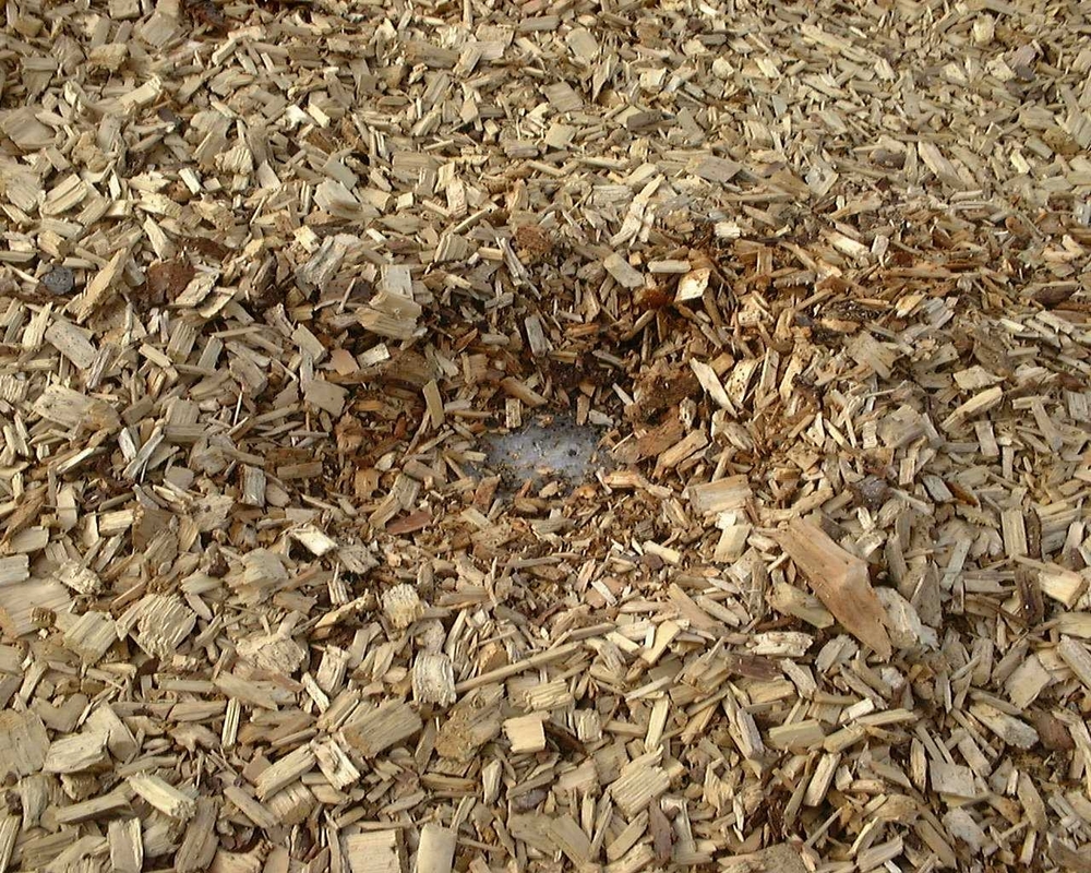 Wood chips, a common type of biomass. (biomassmagazine.com)