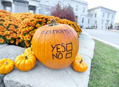 The referendum campaign period runs from Nov. 1 to 11, and polling will take place between Nov. 5 and 11. (Alexandra Allaire / McGill Tribune)