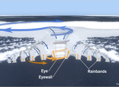 The cross-section of a hurricane, with arrows showing the direction of wind. (hurricanescience.org)