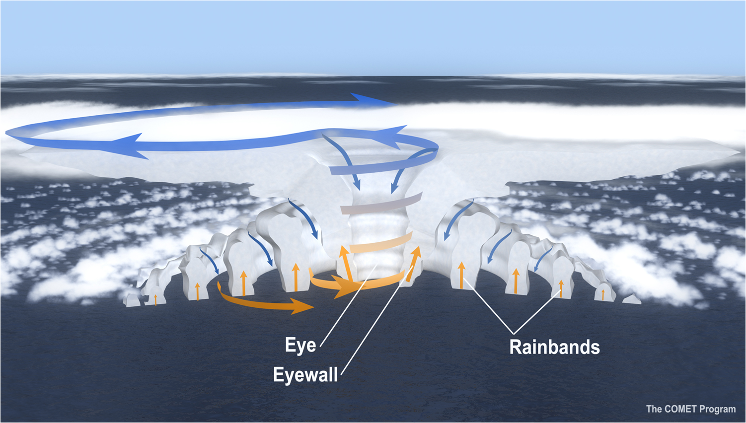 The cross-section of a hurricane, with arrows showing the direction of wind. (hurricanescience.org)