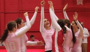 The Martlets raised money for breast cancer research. (Remi Lu / McGill Tribune)