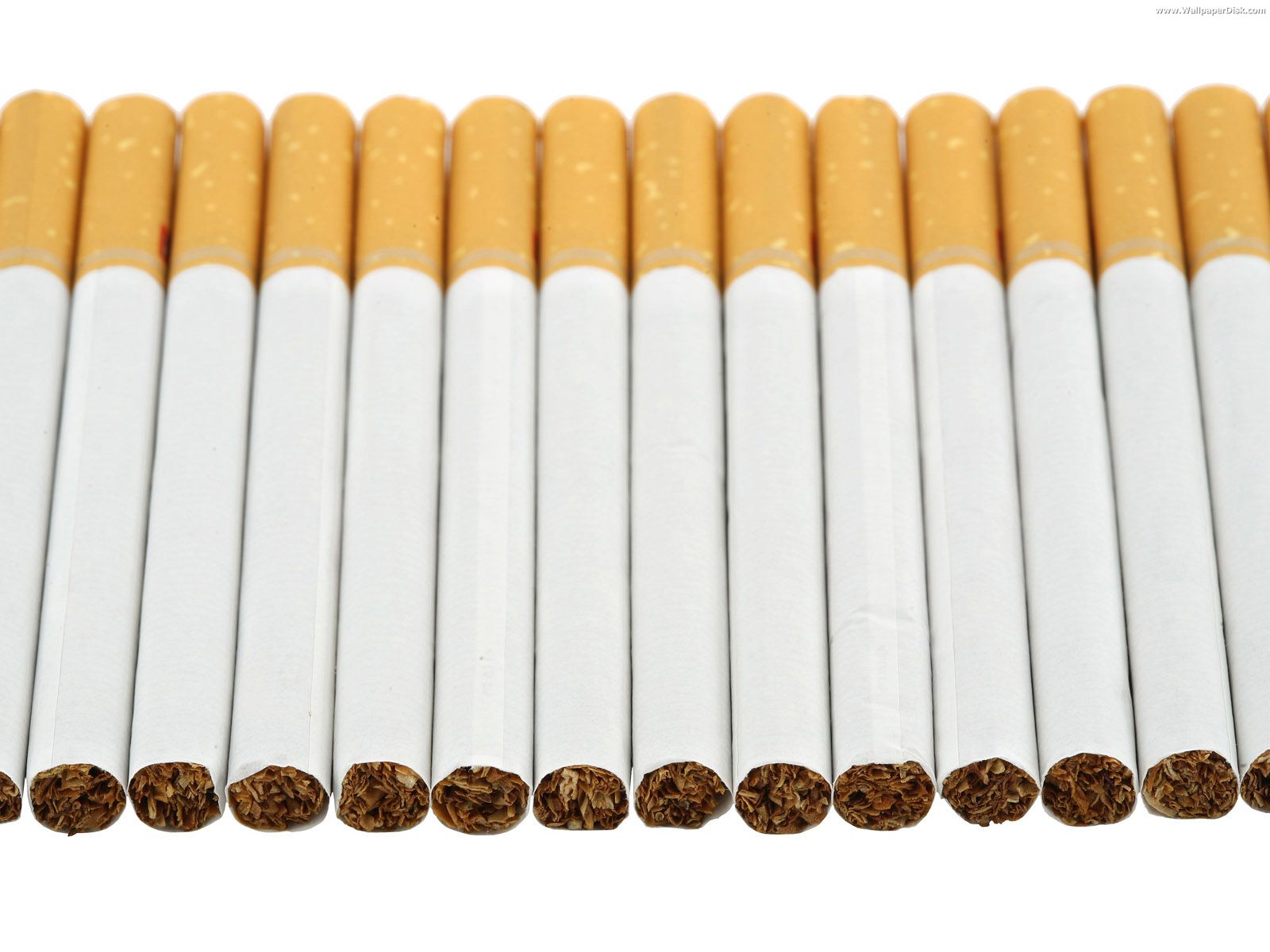 Photo credit: (cigarettes-cigarettes.com)