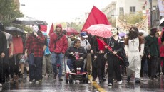 (Luke Orlando / McGill Tribune)