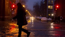 (Luke Orlando / McGill Tribune)