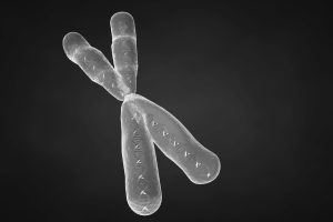 Gene sequence analyses yield disappointing results for cancer research. (geneticawareness.org)