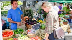 The Famer’s Market provides McGill students the opportunity to purchase fresh, organic and locally cultivated produce during the months of September and October.
