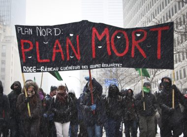 Protestors braved the snow to demonstrate against the government’s Plan Nord. (Anna Katycheva / McGill Tribune)