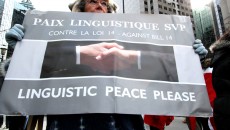 (Alexandra Allaire / McGill Tribune)