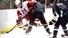 Alexandra Allaire / McGill Tribune