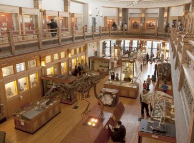 Redpath Museum at McGill