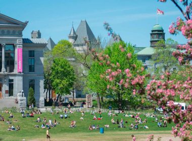 McGill Lower Field