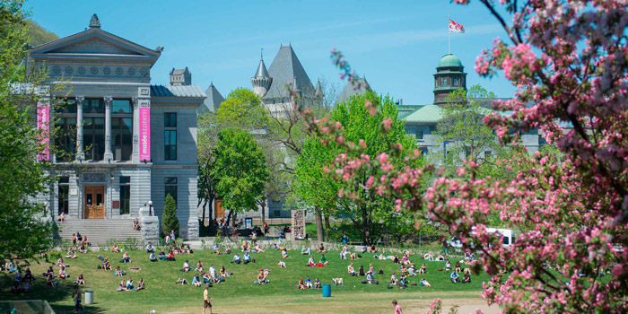 McGill Lower Field