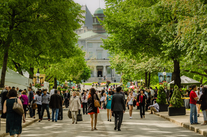 Back to school McGill