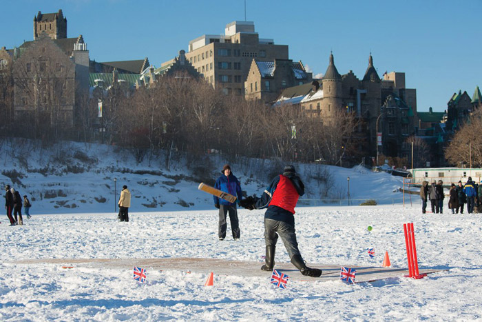 snow cricket