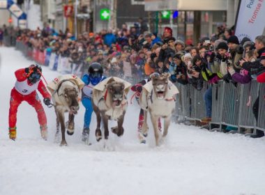 Reindeer Racing