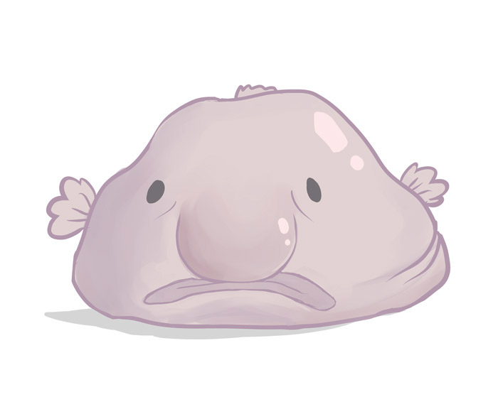 The blob fish 