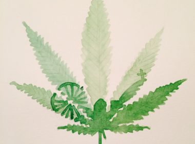 The Cannabis Act, which legalizes marijuana possession, comes into effect Oct. 17. (Winnie Lin / The McGill Tribune)