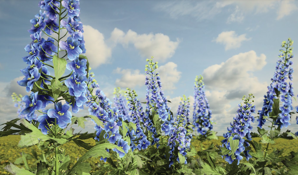 Photogrammetry A new approach to detailed, accessible flower imaging