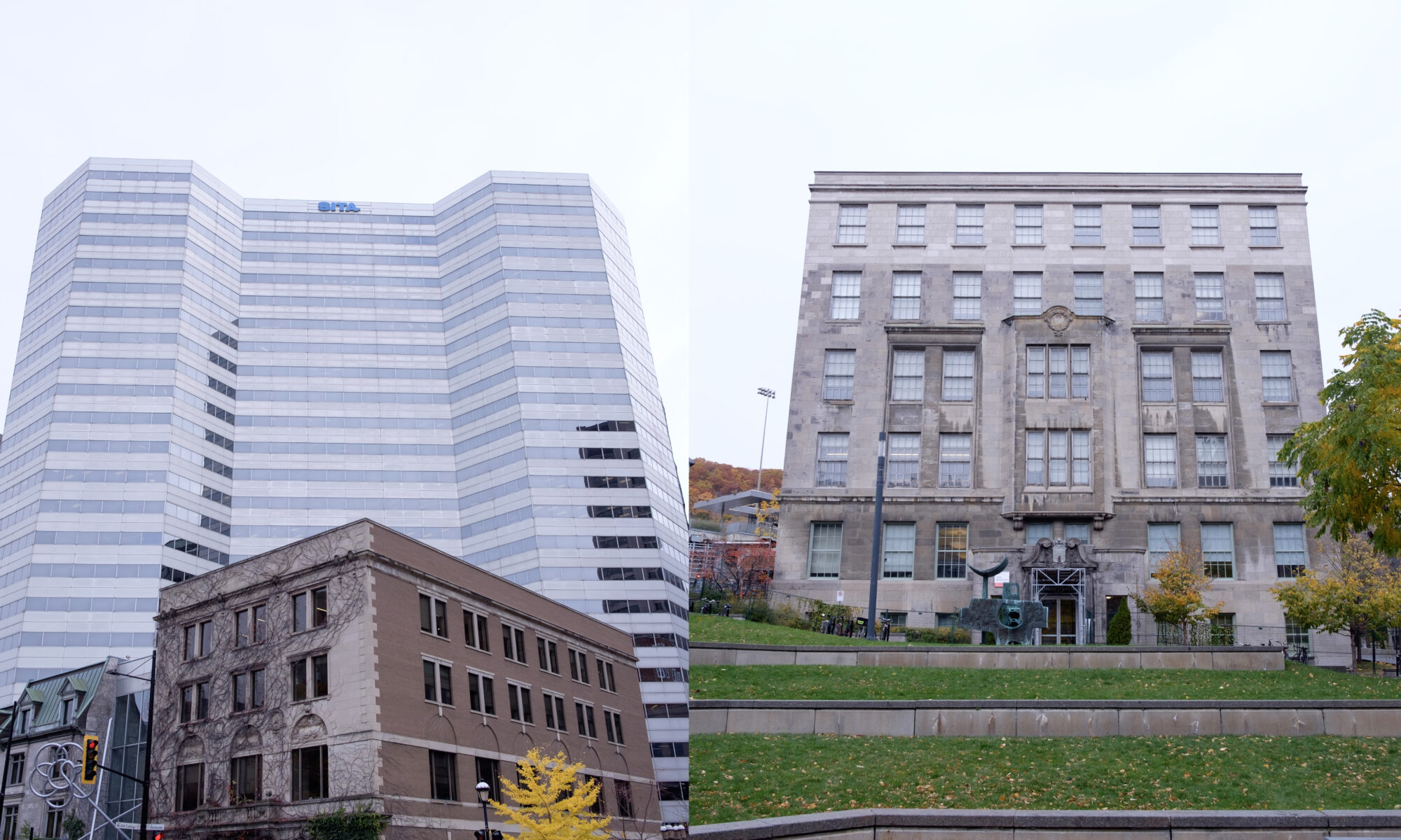 McGill Announces Pause To 50 Million French Learning Program The Tribune mcgill-announces-pause-to-50-million-french-learning-program-the-tribune