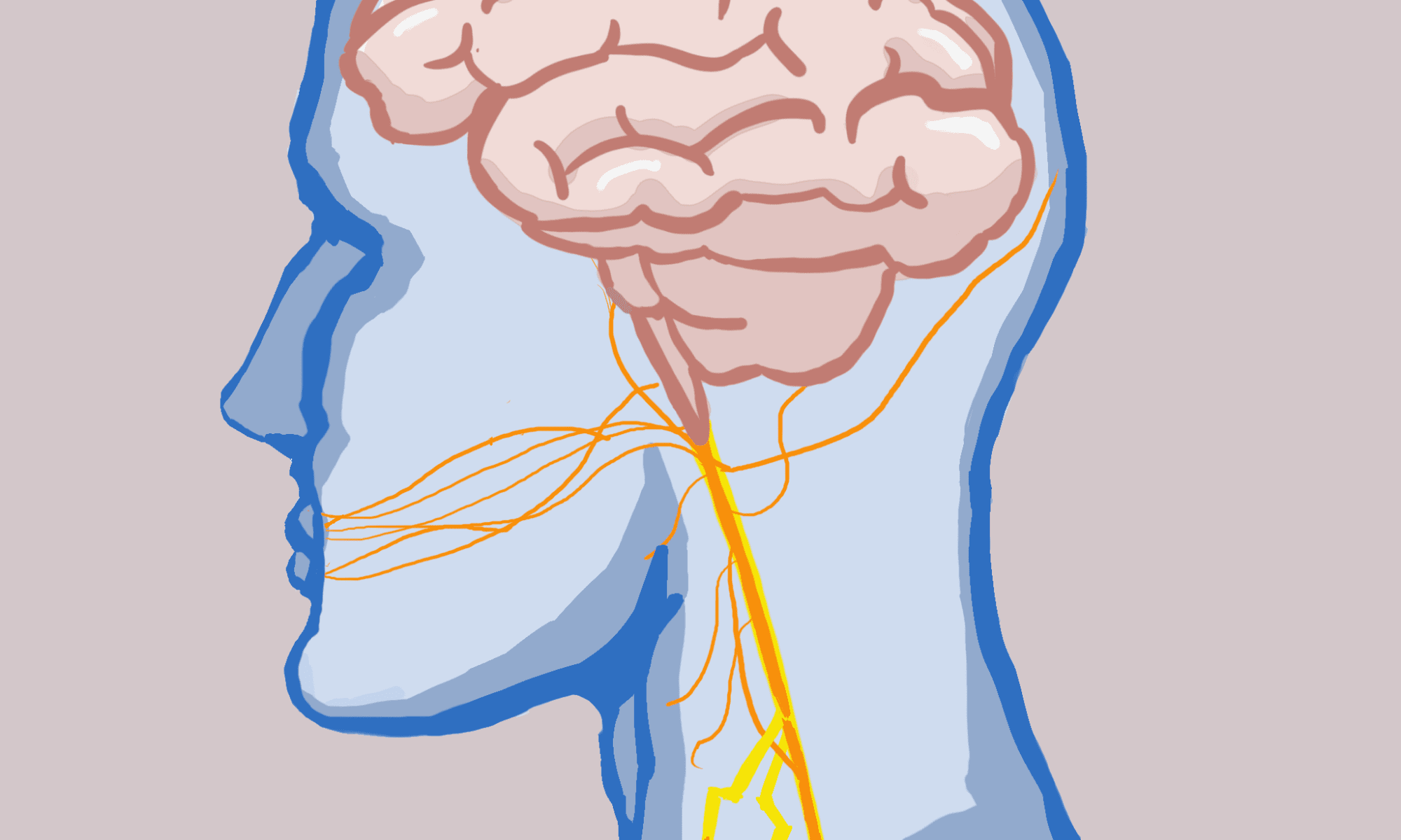 A new approach to chronic pain management in children and teens - The ...
