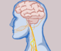 A new approach to chronic pain management in children and teens