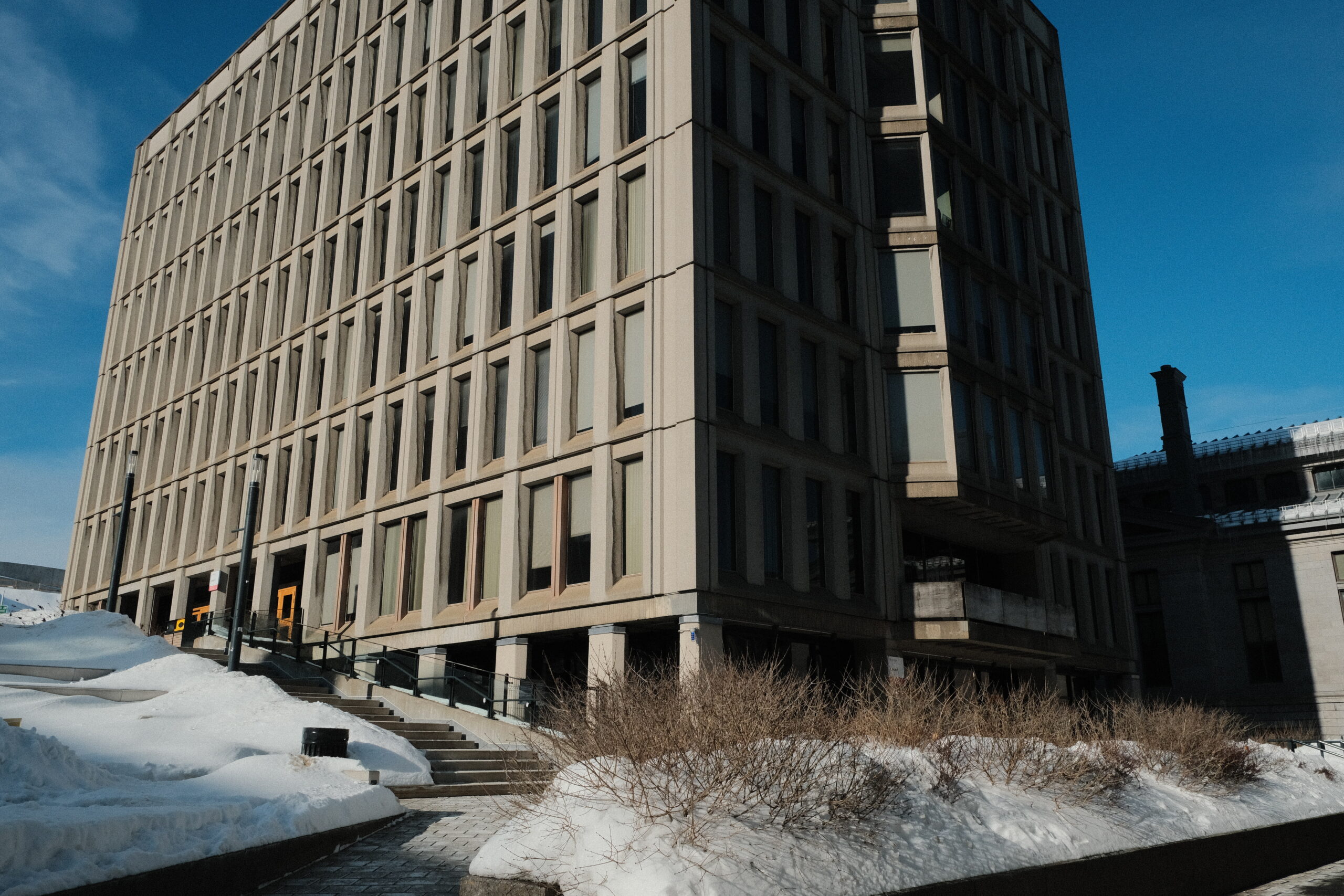 McGill Senate confronts the rise of AI and undergraduate enrolment pressures