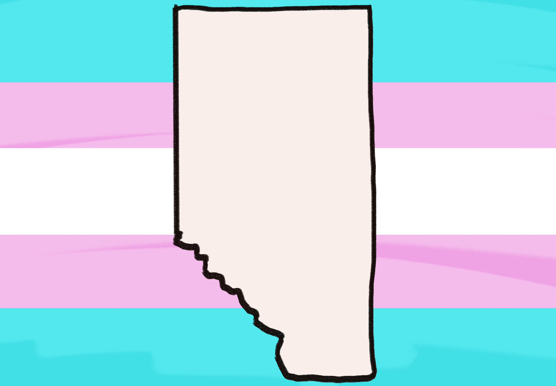 The Tribune Explains: The Health Statutes Amendment Act