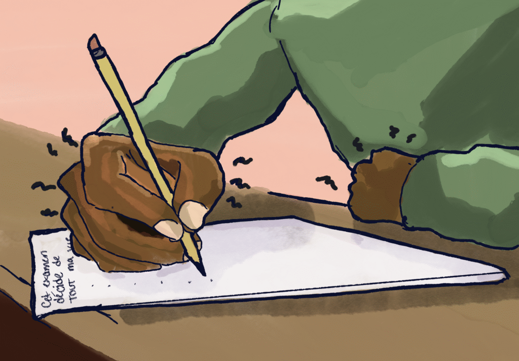 Quebec immigration reform has left bright minds behind