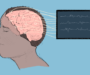 Reading the static and exploring long COVID’s impact on the brain’s electrical rhythm